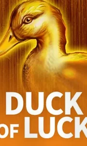 Duck Of Luck Ct